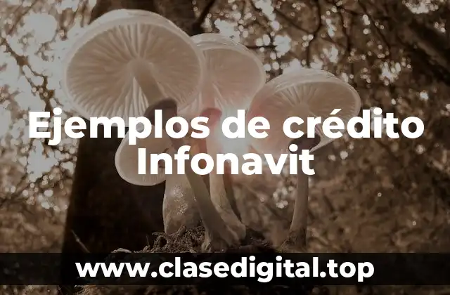 Ejemplos de crédito Infonavit