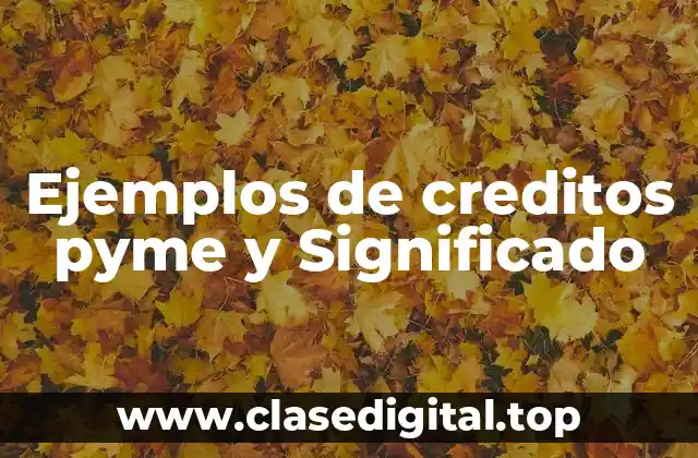 Ejemplos de creditos pyme y Significado