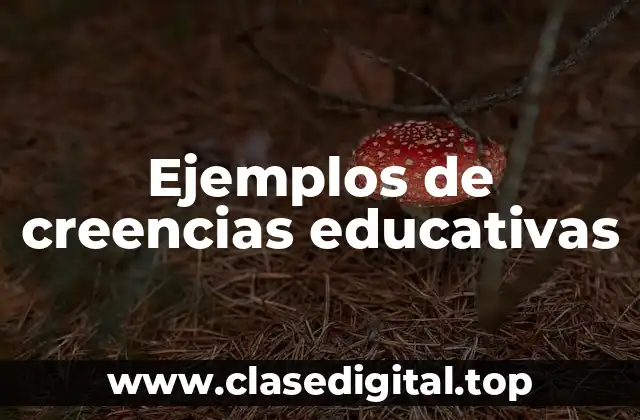 Ejemplos de creencias educativas