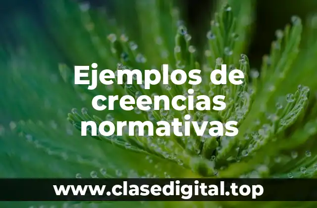 Ejemplos de creencias normativas