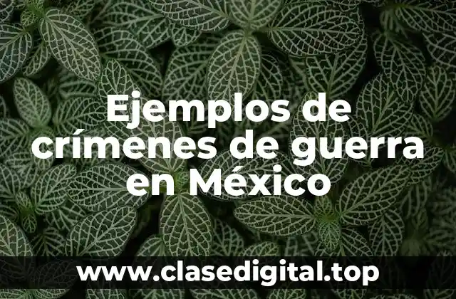 Ejemplos de crímenes de guerra en México