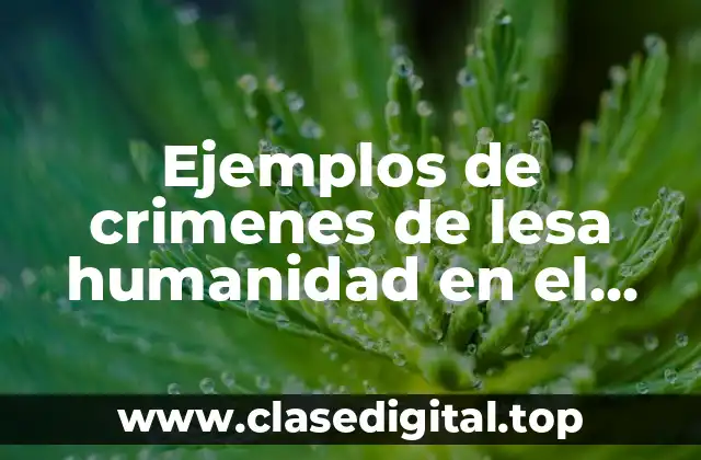 Ejemplos de crimenes de lesa humanidad en el mundo y Significado