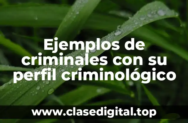 Ejemplos de criminales con perfil criminológico