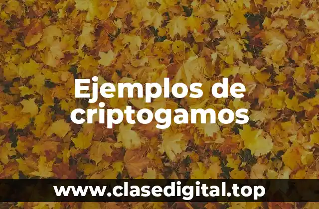 Ejemplos de criptogamos