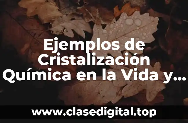 Ejemplos de Cristalización Química en la Vida y Significado
