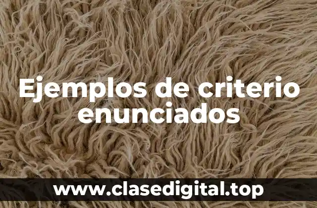 Ejemplos de criterio enunciados