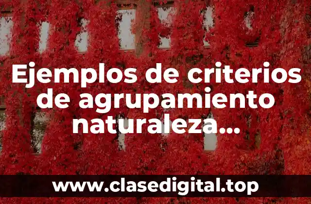 Ejemplos de criterios de agrupamiento naturaleza constitutiva