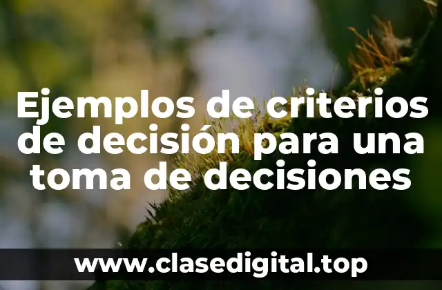 Ejemplos de criterios de decisión para una toma de decisiones
