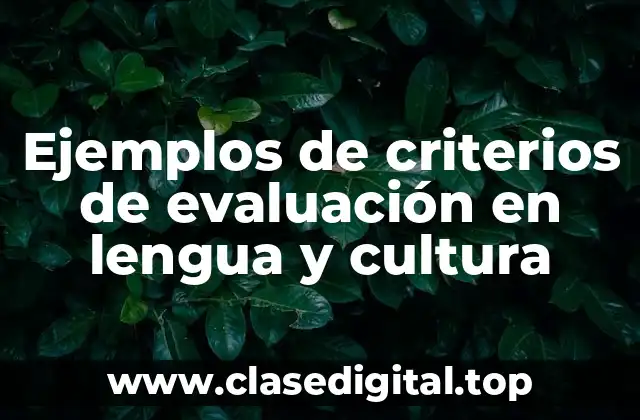 Ejemplos de criterios de evaluación en lengua y cultura