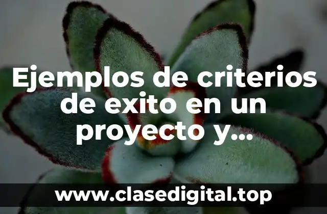 Ejemplos de criterios de exito en un proyecto y Significado