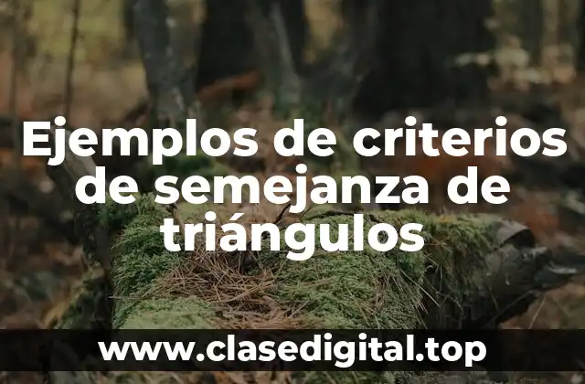 Ejemplos de criterios de semejanza de triángulos