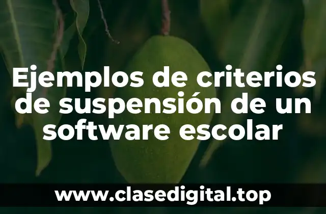 Ejemplos de criterios de suspensión de un software escolar