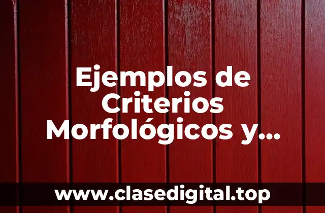 Ejemplos de Criterios Morfológicos y Significado