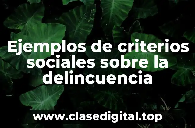 Ejemplos de criterios sociales sobre la delincuencia