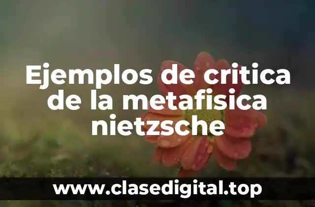 Ejemplos de critica de la metafisica nietzsche