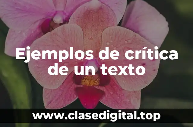 Ejemplos de crítica de un texto