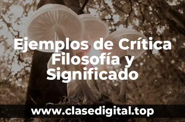Ejemplos de Crítica Filosofía y Significado