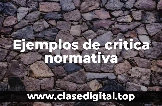 Ejemplos de critica normativa