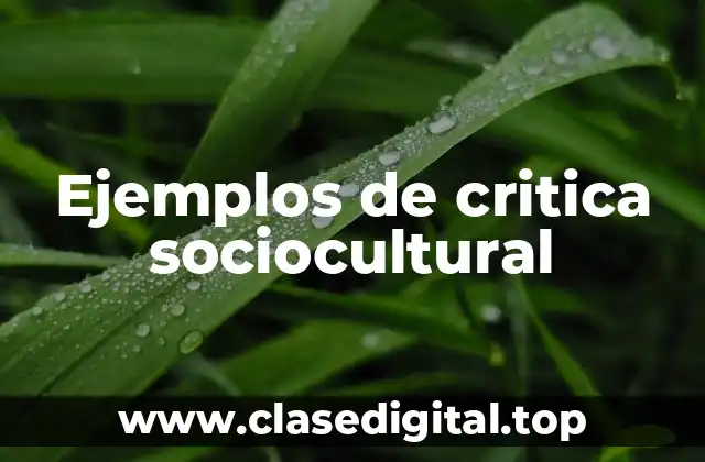 Ejemplos de critica sociocultural