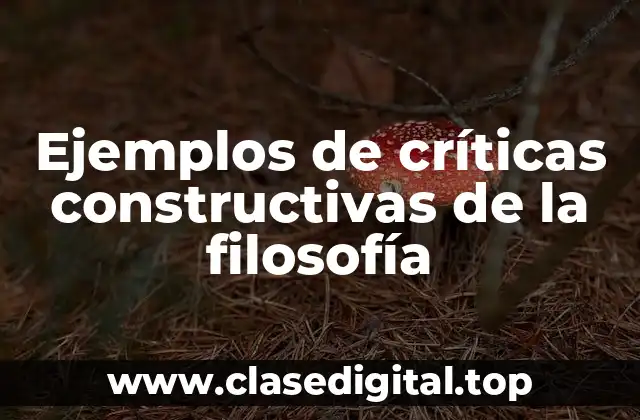 Ejemplos de críticas constructivas de la filosofía