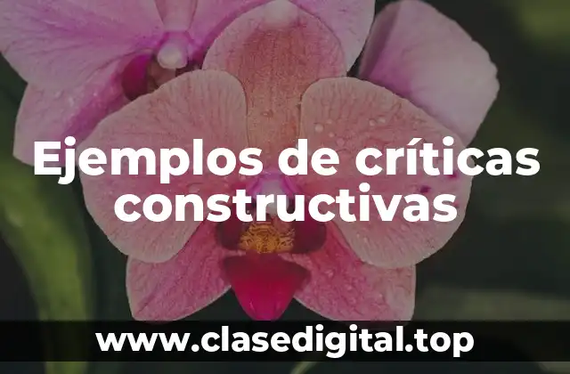 Ejemplos de críticas constructivas