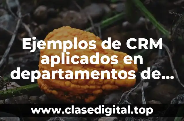Ejemplos de CRM aplicados en departamentos de empresas