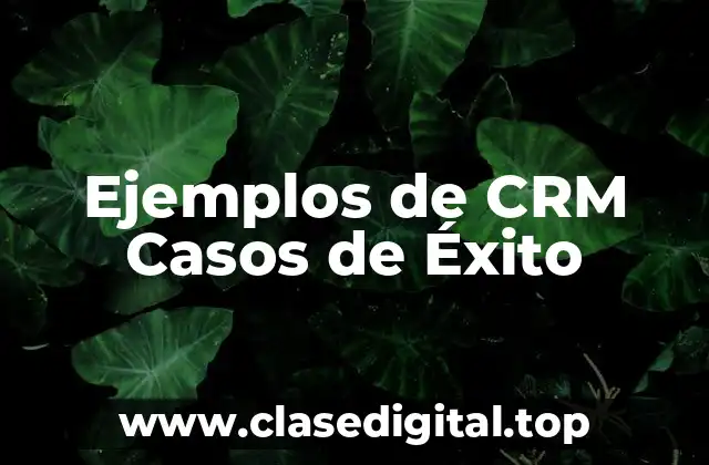 Ejemplos de CRM Casos de Éxito