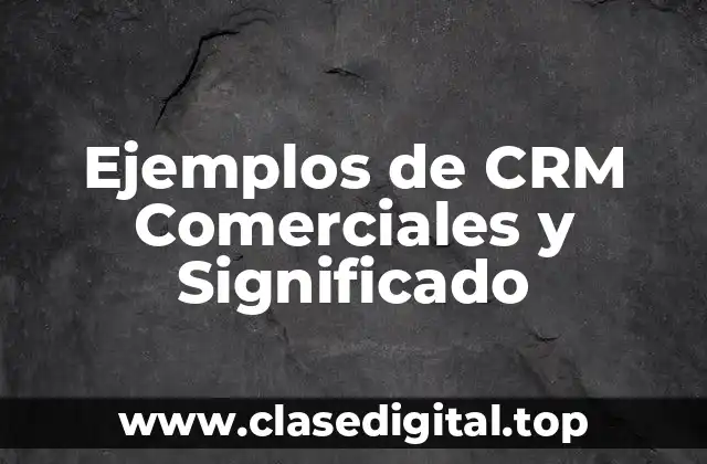 Ejemplos de CRM Comerciales y Significado