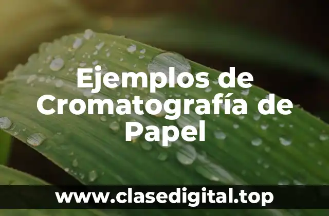 Ejemplos de Cromatografía de Papel