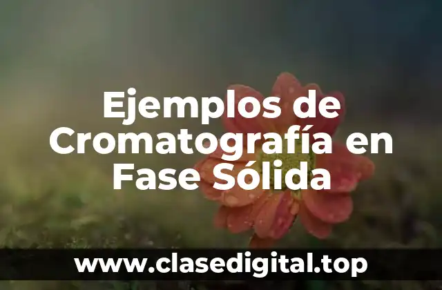 Ejemplos de Cromatografía en Fase Sólida