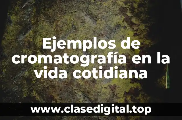 Ejemplos de cromatografía en la vida cotidiana