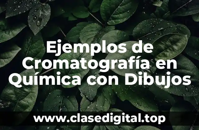 Ejemplos de Cromatografía en Química