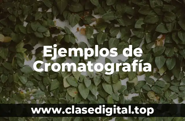 Ejemplos de Cromatografía