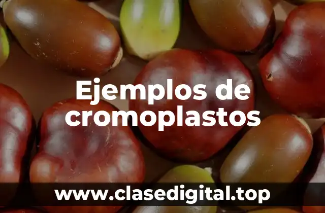 Ejemplos de cromoplastos