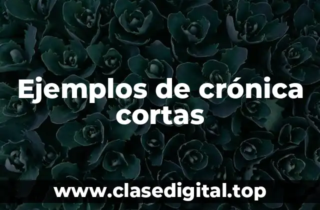 Ejemplos de crónicas cortas