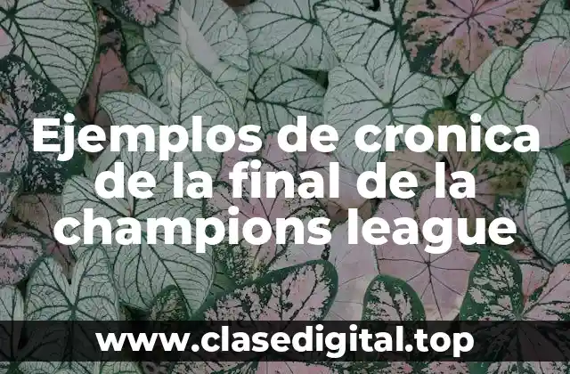 Ejemplos de cronica de la final de la Champions League