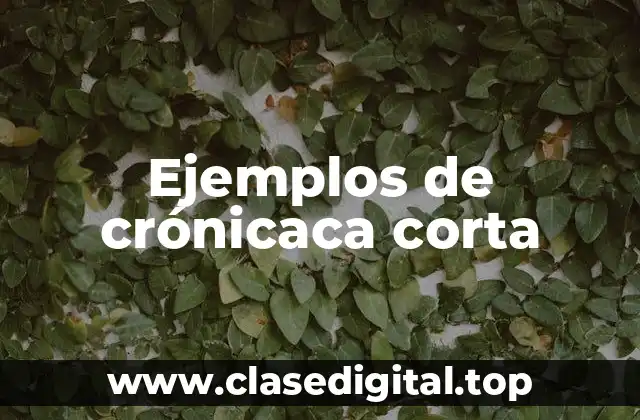 Ejemplos de crónicaca corta