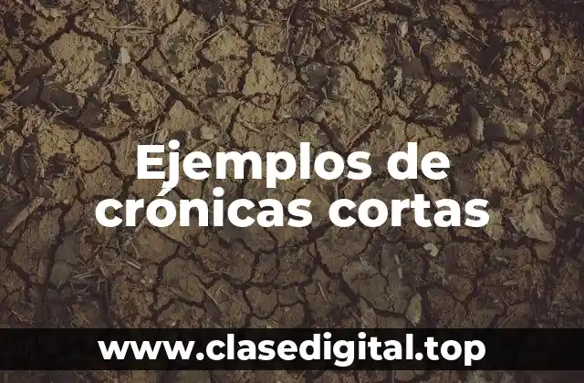 Ejemplos de crónicas cortas