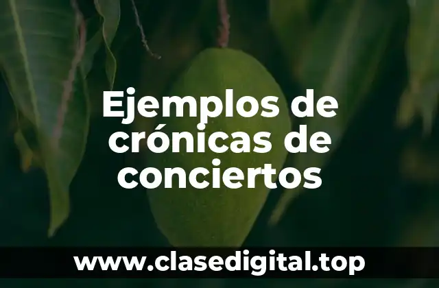 Ejemplos de crónicas de conciertos