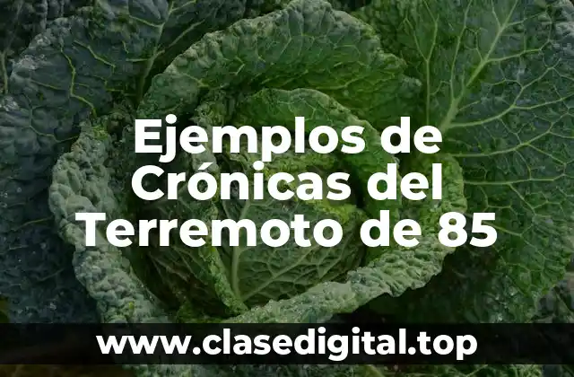 Ejemplos de Crónicas del Terremoto de 85