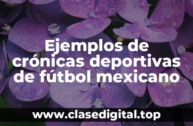 Ejemplos de crónicas deportivas de fútbol mexicano