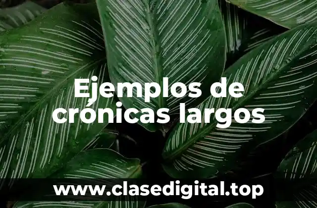 Ejemplos de crónicas largos