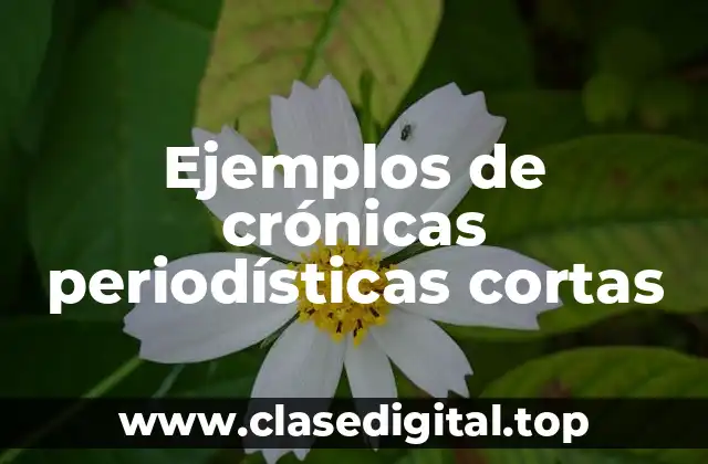 Ejemplos de crónicas periodísticas cortas