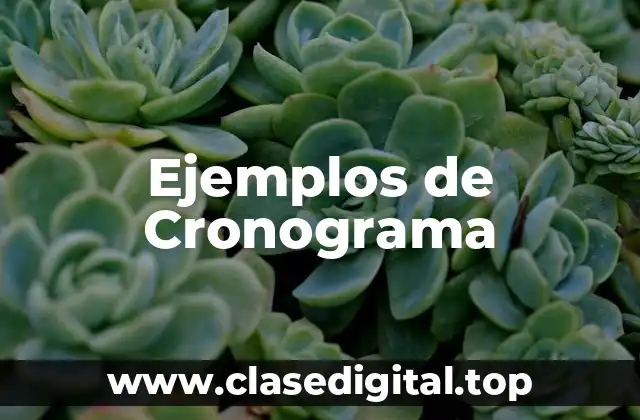 Ejemplos de Cronograma