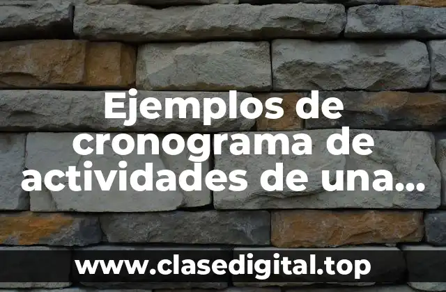 Ejemplos de cronograma de actividades de una auditoria