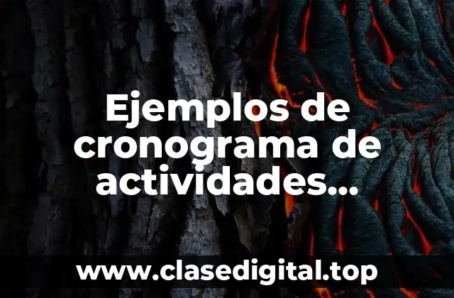 Ejemplos de cronograma de actividades diagnostico de una organización