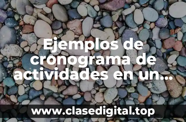 Ejemplos de cronograma de actividades en un proyecto de investigación