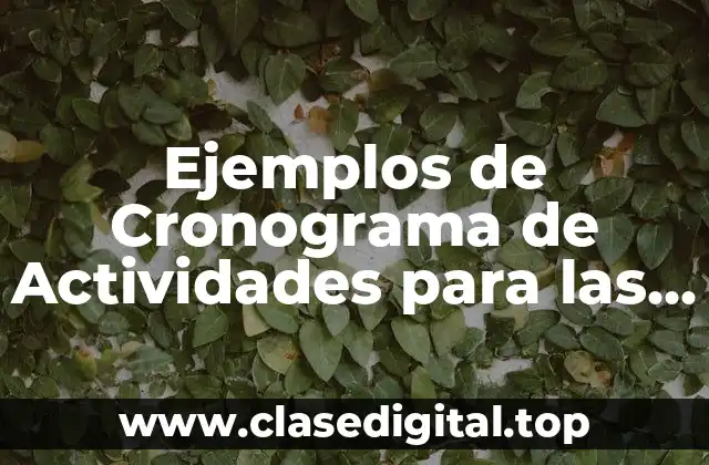 Ejemplos de Cronogramas de Actividades para las Escuelas
