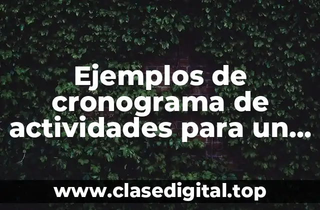 Ejemplos de cronograma de actividades para un almacén y Significado