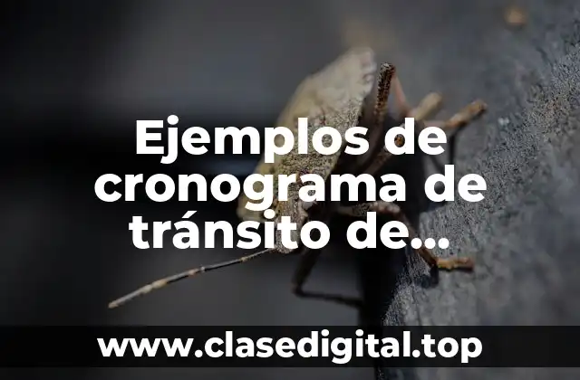 Ejemplos de cronograma de tránsito de mercancía